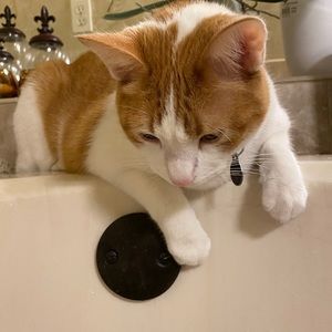 Meet your Posher, Angeles